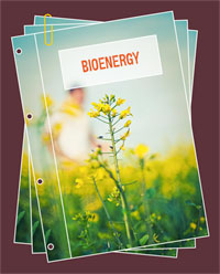 friendsoftheearth-bioenergy